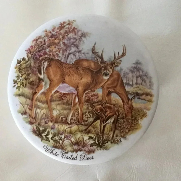 VINTAGE PATUM PEPERIUM THE GENTLEMAN'S RELISH POT - WHITE TAILED DEER - Picture 2 of 5